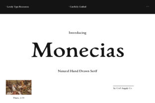 Boost Your Campaign with the Monecias Serif Font