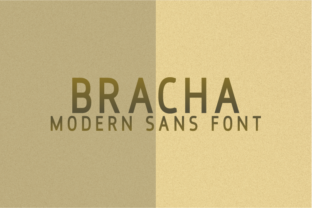 Bracha Font for a Polished Web Design