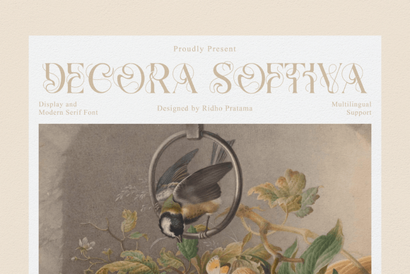Decora Softiva: A Serif Font with a Touch of Elegance
