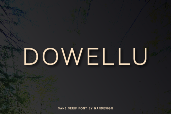 Dowellu Font for Modern Branding and Marketing