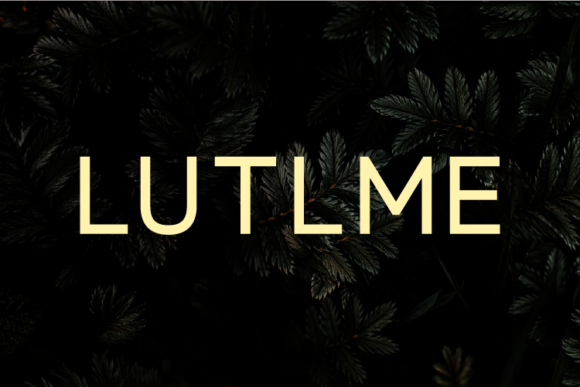 How Lutlme Elevates Branding with a Modern Sans Serif Font
