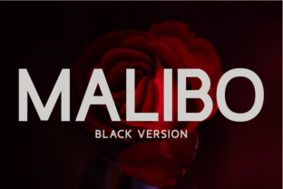 Malibo Black for Professional Branding