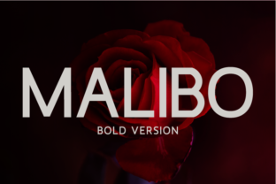 Malibo Bold for Editorial Design