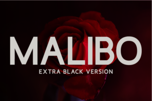 Malibo Extra Black for Modern Web Design
