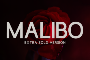 Malibo Extra Bold for Web Design Projects