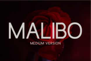 Malibo Medium: The Font That Elevates Your Campaign Visuals