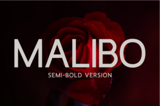 Malibo Semi-Bold for Modern Editorial Design