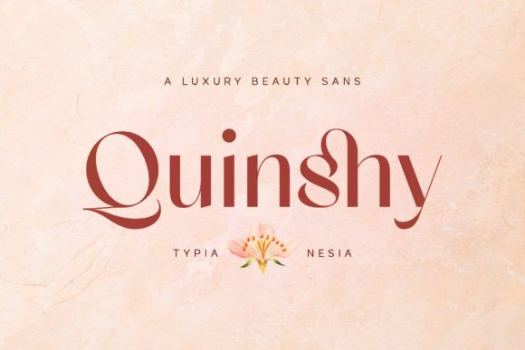 Quinshy – A Modern Sans Serif Font for Branding and Marketing