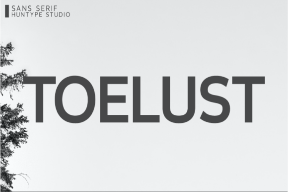 Toelust: A Versatile Sans Serif Font for Craft Creators